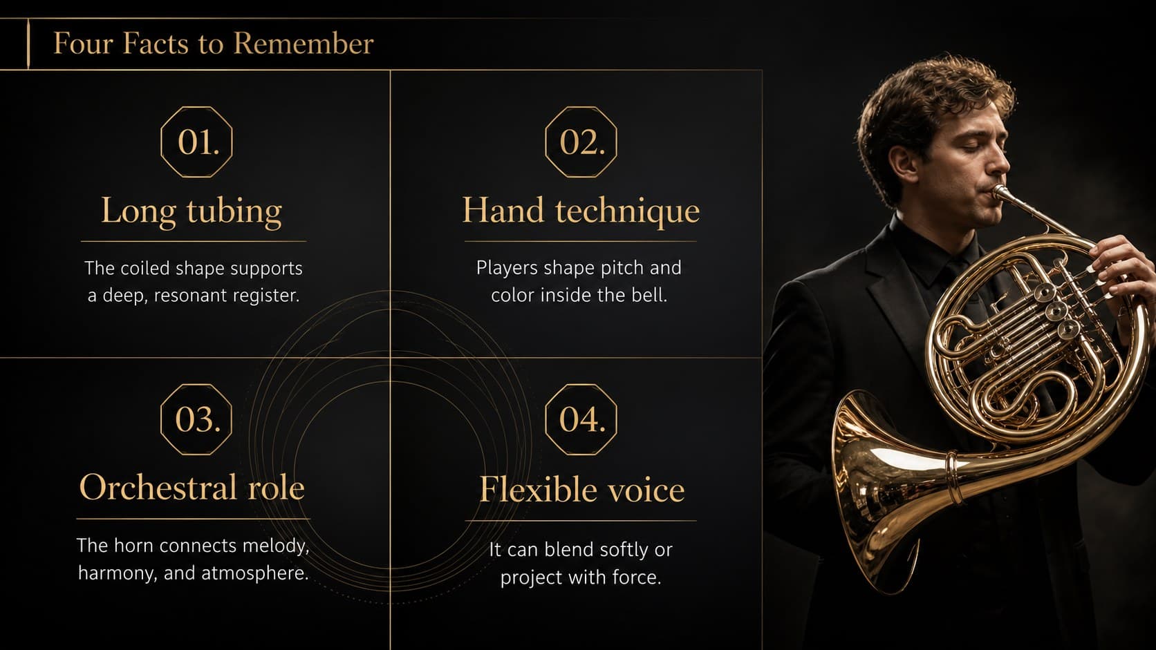 Formal French horn history presentation slide showing key facts in a structured dark information layout.