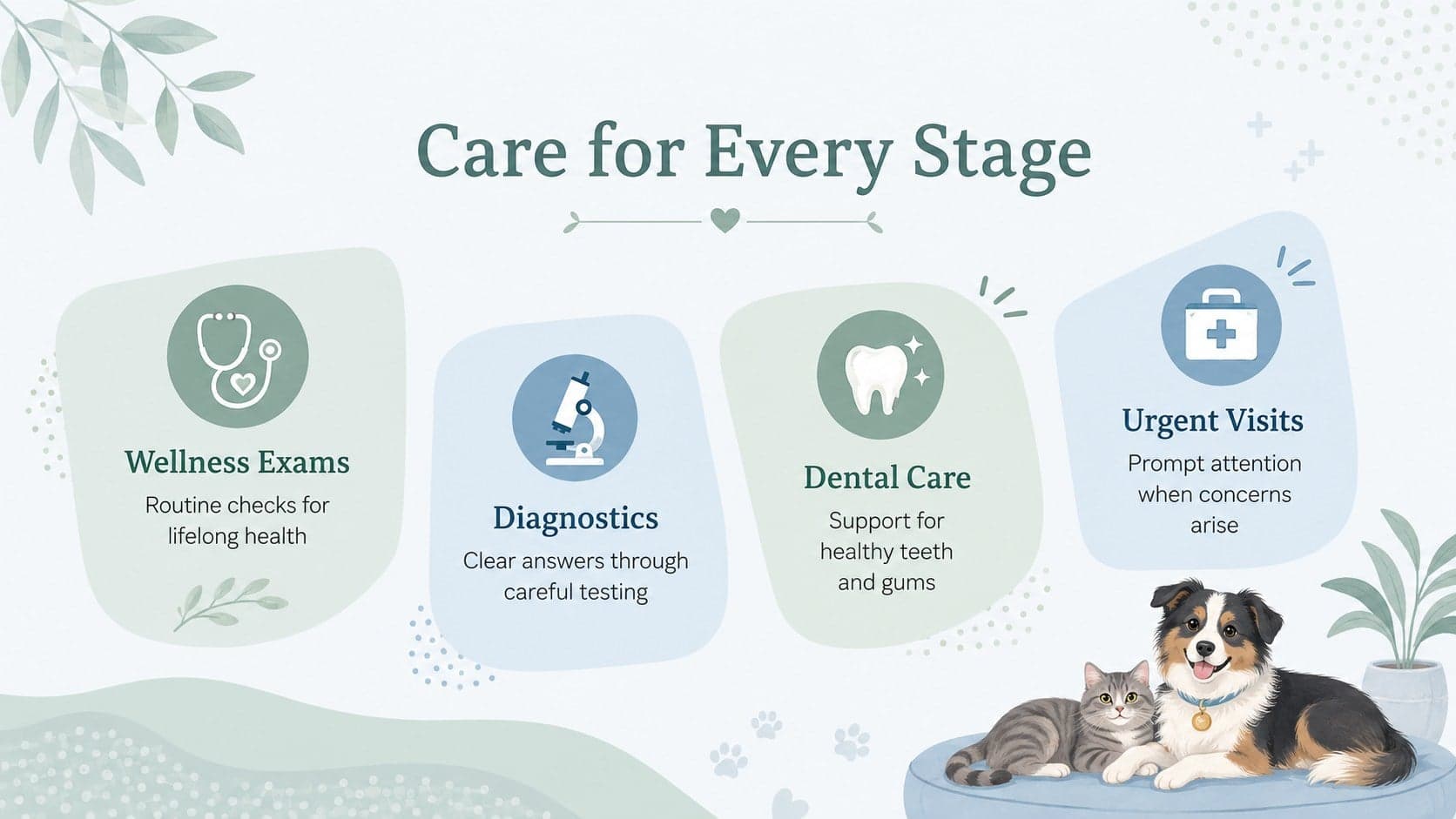 Veterinary services presentation template showing wellness exams, diagnostics, dentistry, and urgent care.