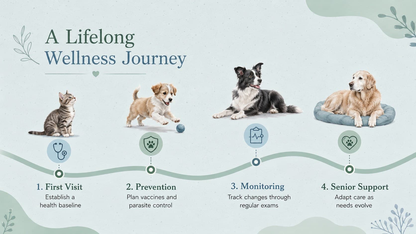 Pet wellness education slide with a four-step preventive care timeline in pastel green and blue.