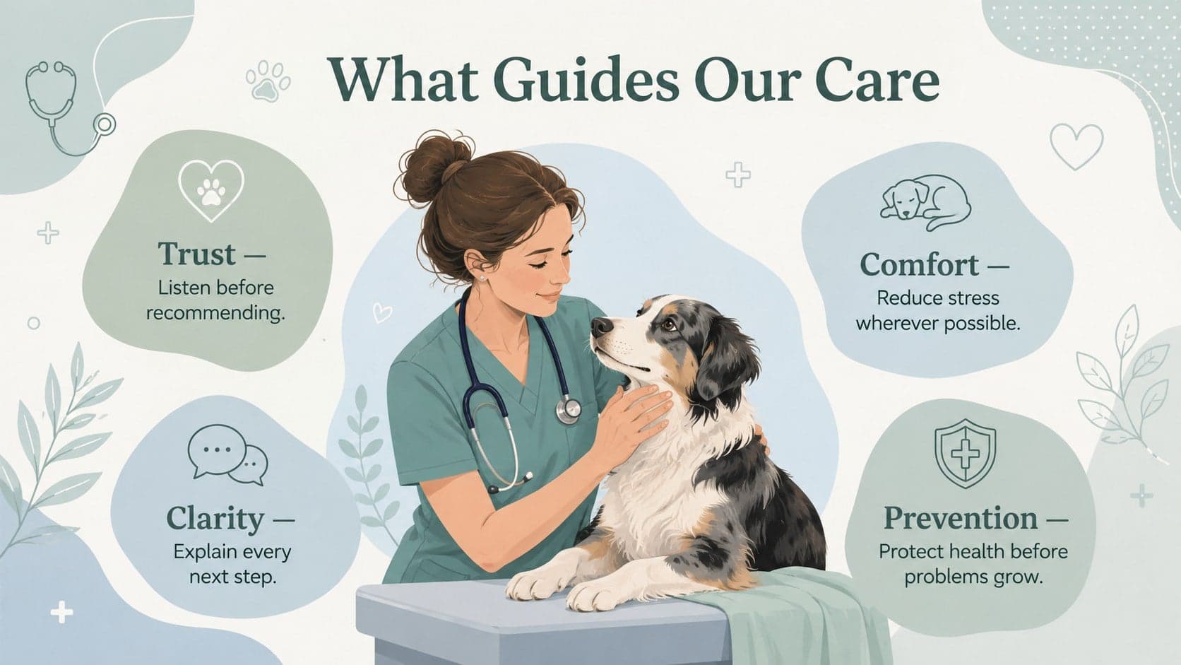 Animal hospital introduction deck slide outlining trust, comfort, clarity, and prevention as clinic values.