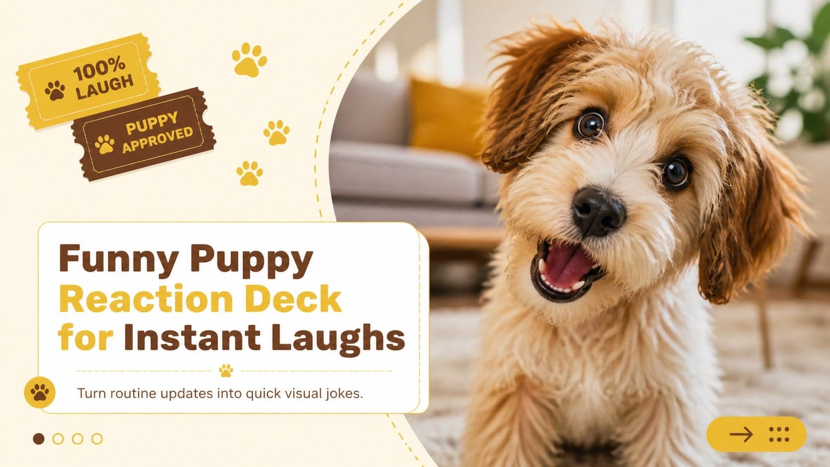 Cover of a funny puppy reaction deck with an expressive dog photo and warm yellow-brown interface graphics.