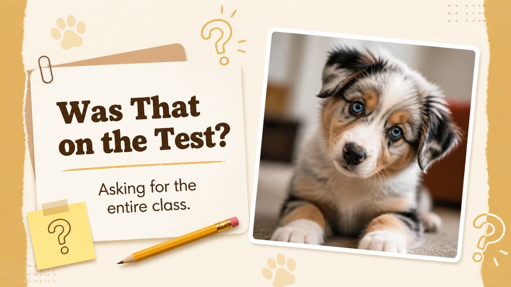 Classroom humor activity slide with a curious puppy and a playful question prompt.
