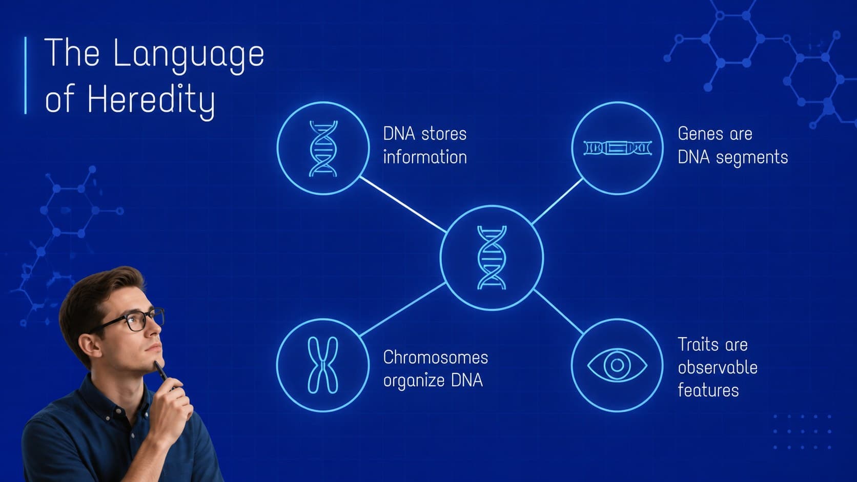 Biology vocabulary overview showing how DNA, genes, chromosomes, and traits connect.