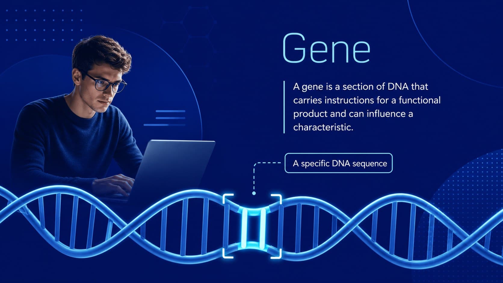 Genetics term definition slide explaining a gene with a highlighted DNA segment.