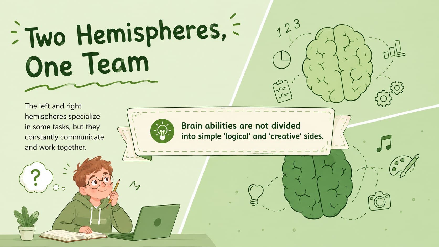 Classroom neuroscience slide comparing the left and right brain hemispheres without common myths.