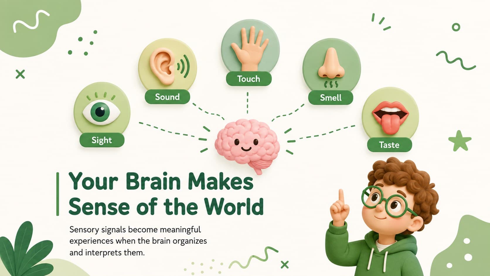 Green educational slide explaining sensory processing through sight, sound, touch, smell, and taste.