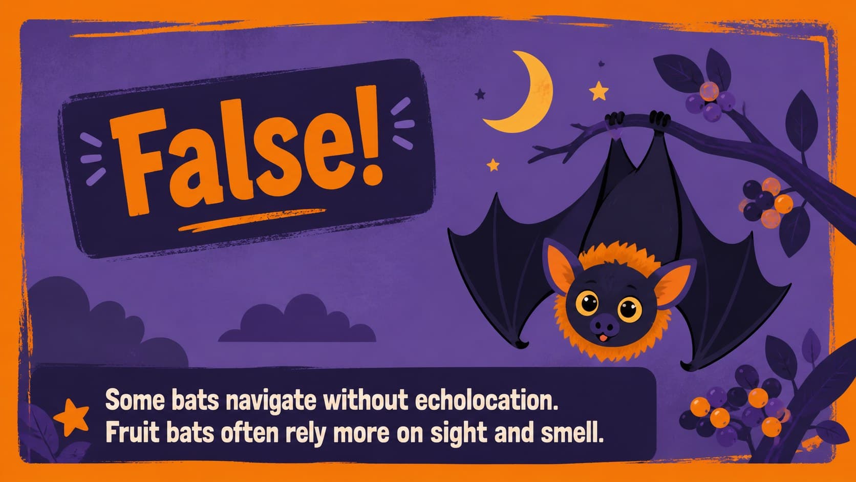 Illustrated Halloween classroom quiz answer slide revealing a false statement about bats.