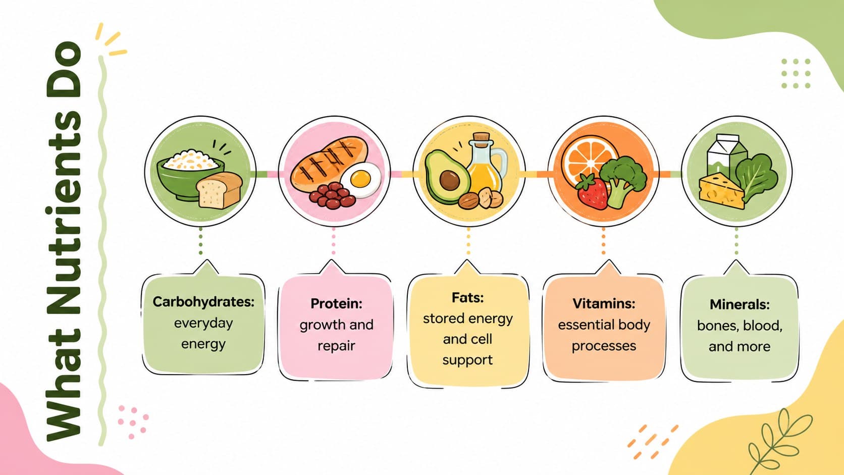 Nutrition education slide explaining carbohydrates, protein, fats, vitamins, and minerals.