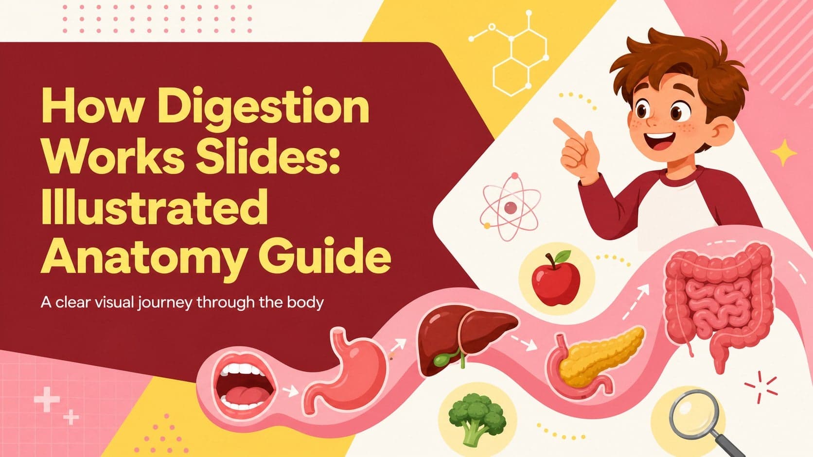 Cover for How Digestion Works Slides with playful digestive anatomy illustrations in a bright pink-and-yellow classroom design.