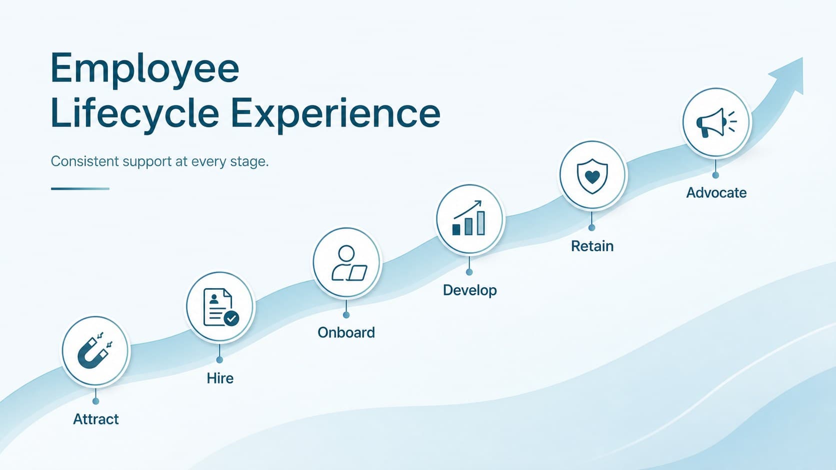 Employee lifecycle diagram for an HR career portfolio covering attraction through advocacy.