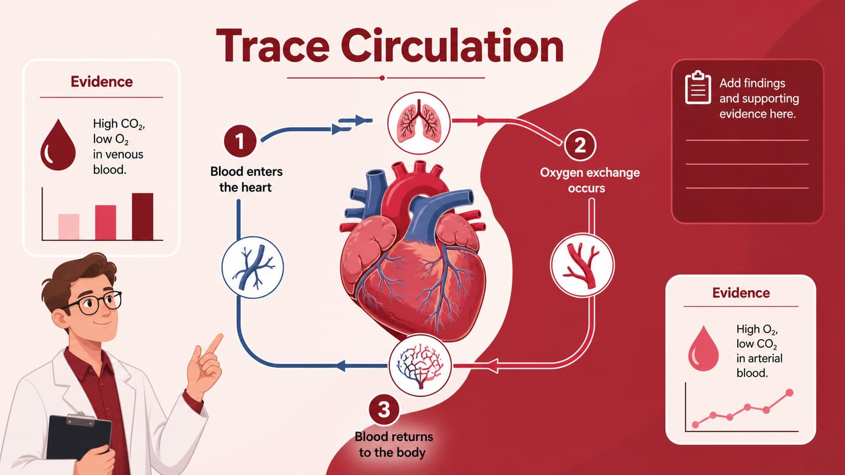 Red medical research poster template illustrating blood flow through the heart and circulatory system.