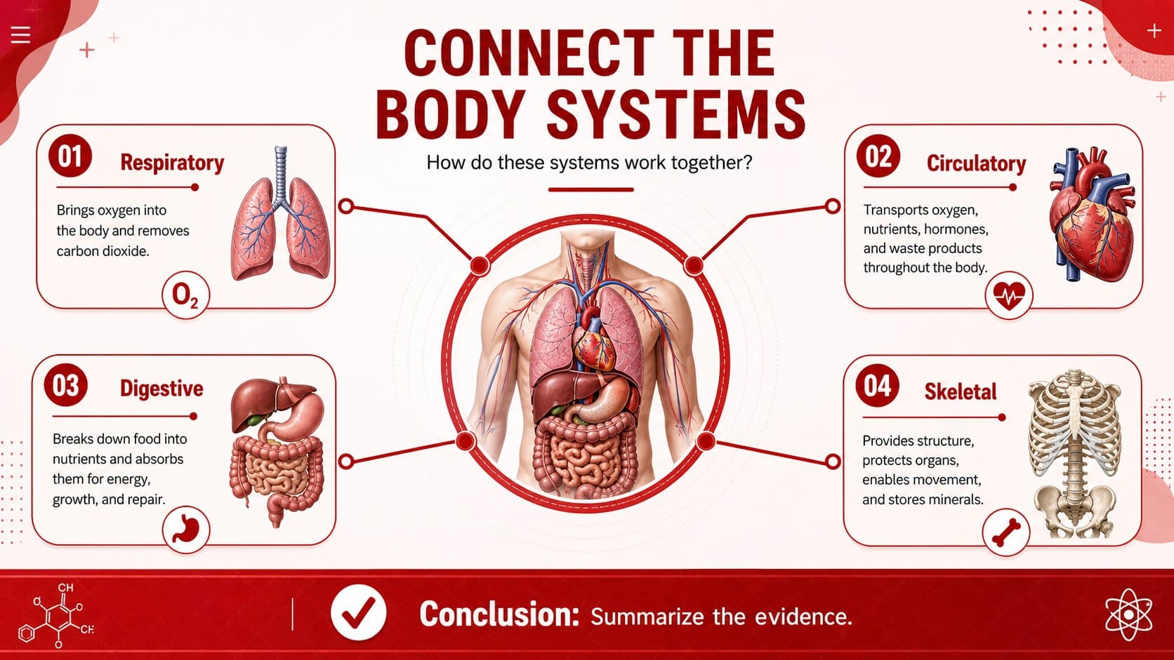 Human body systems presentation poster connecting respiratory, circulatory, digestive, and skeletal research findings.