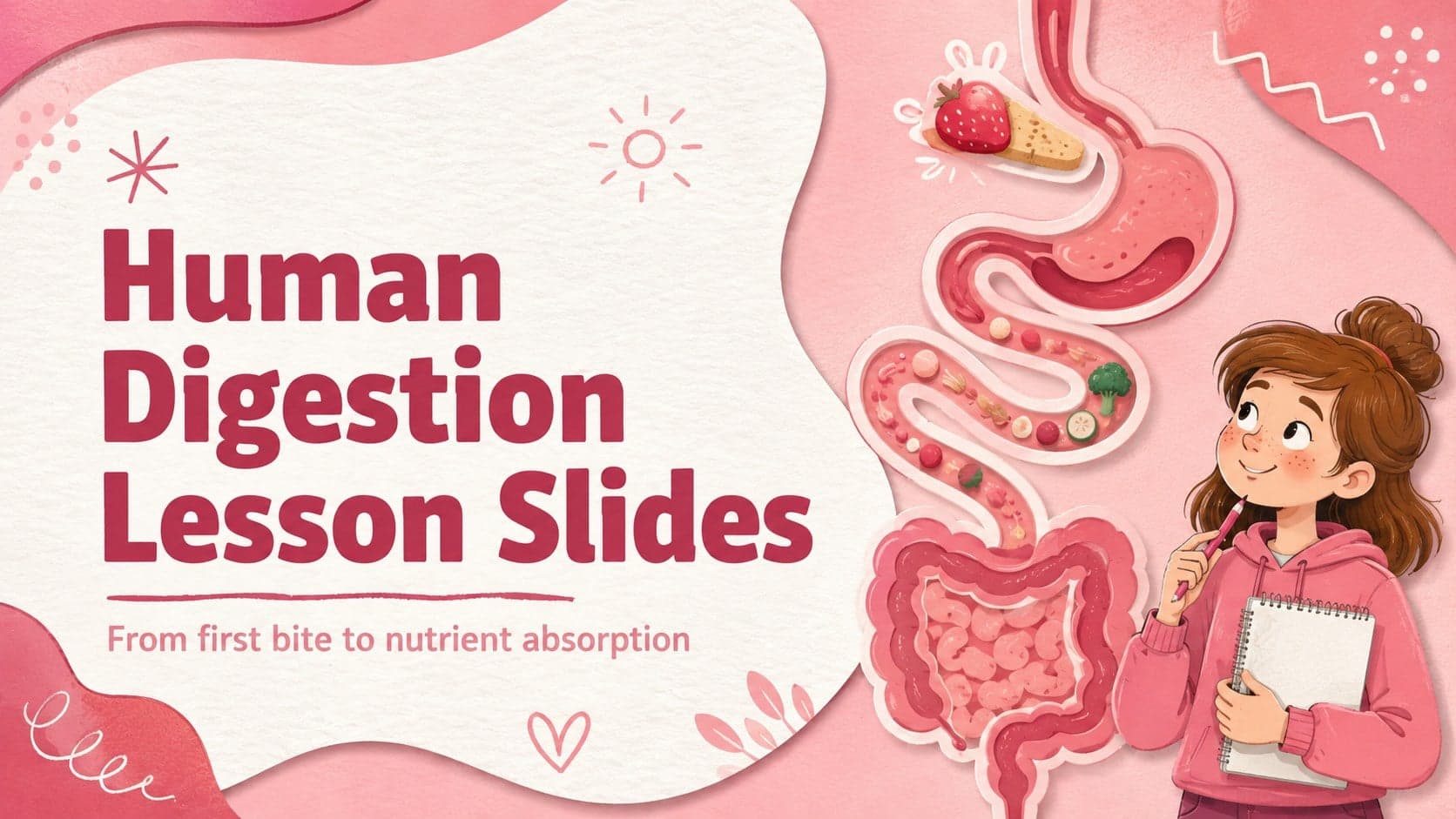 Cover for Human Digestion Lesson Slides with playful digestive organ illustrations in pink, red, and white.