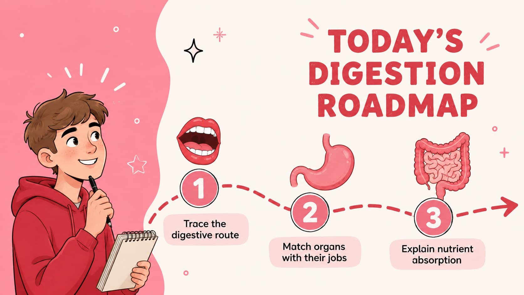 Human digestion lesson roadmap showing learning goals for organs, digestion stages, and nutrient absorption.