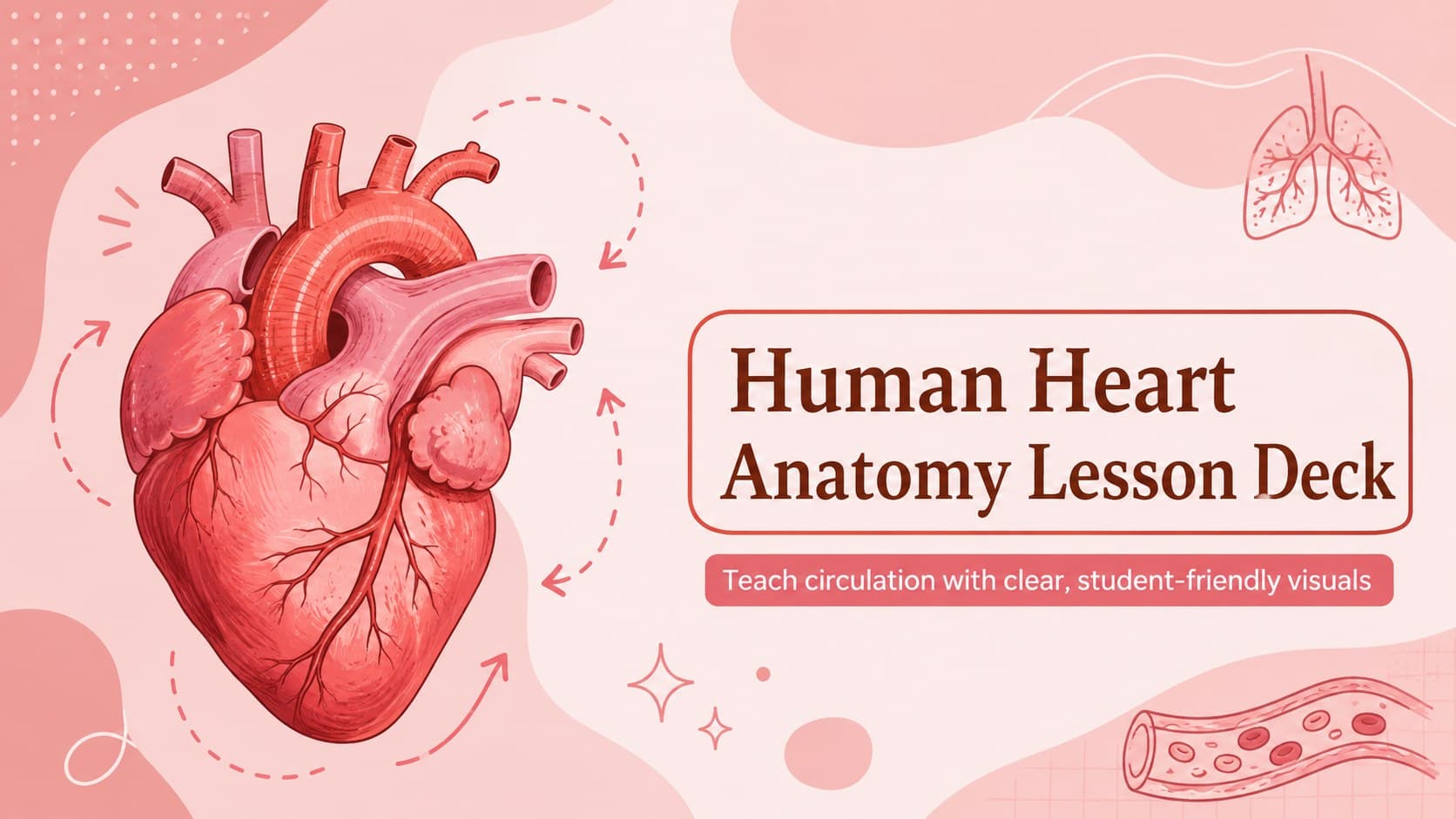 Cover of a human heart anatomy lesson deck with a red-and-pink anatomical heart illustration and classroom subtitle.