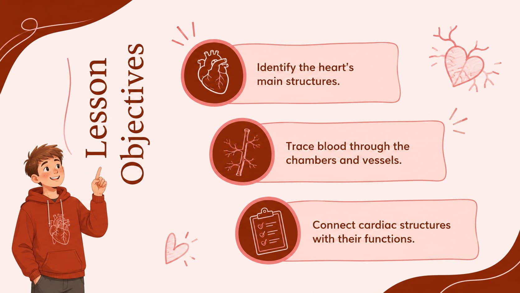 Illustrated heart anatomy lesson objectives slide outlining structures, circulation, and cardiac processes.