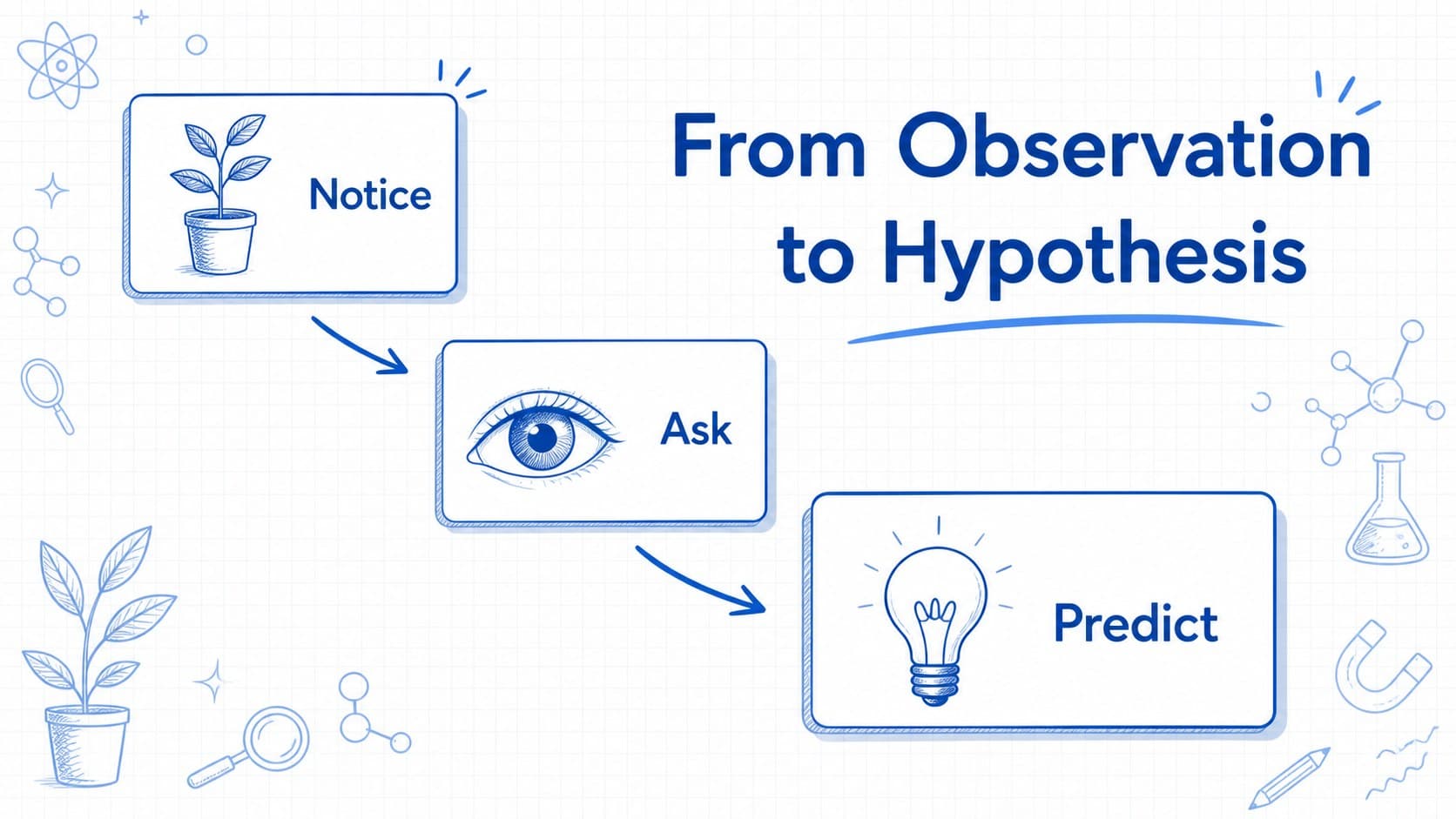 Science concept slide with blue illustrated labels connecting an observation to a hypothesis.