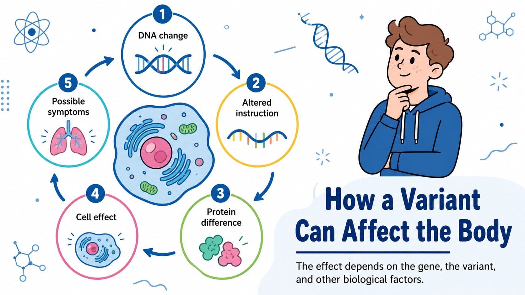 DNA mutation classroom presentation slide explaining how genetic variants can affect proteins and body functions.
