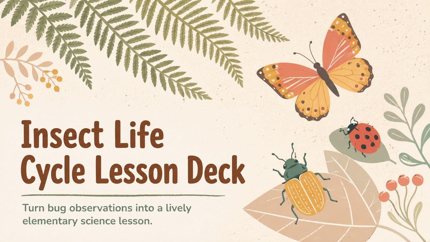 Cover of an Insect Life Cycle Lesson Deck with pastel botanical leaves and original butterfly and beetle illustrations.