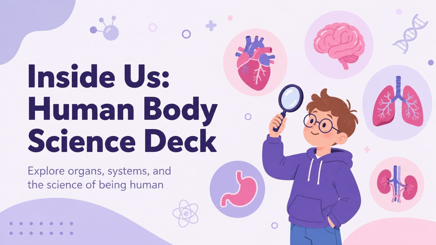 Inside Us: Human Body Science Deck preview