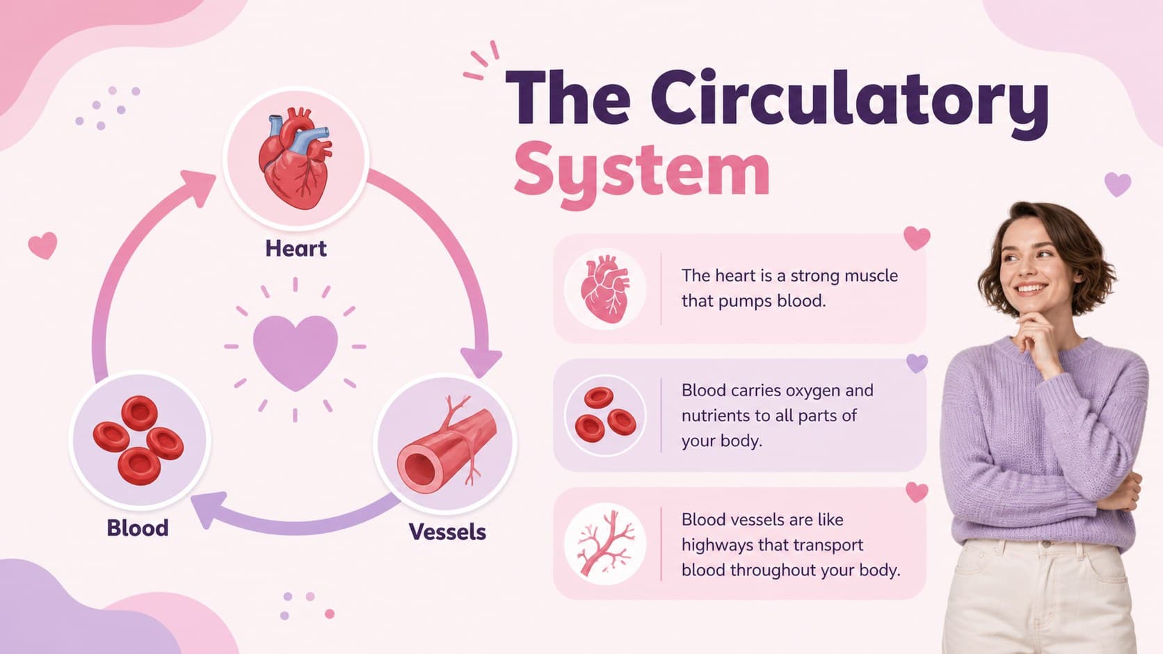 Organ systems presentation for kids explaining how the heart and blood vessels support circulation.