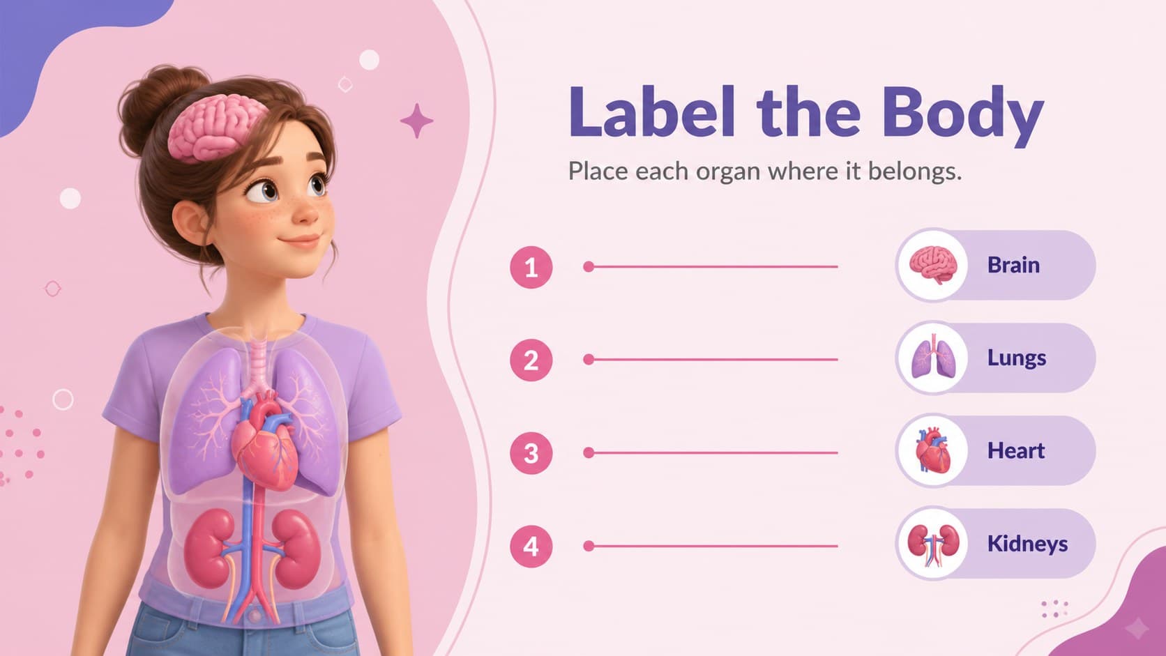 Editable anatomy slides showing a colorful body outline and space for organ labels.