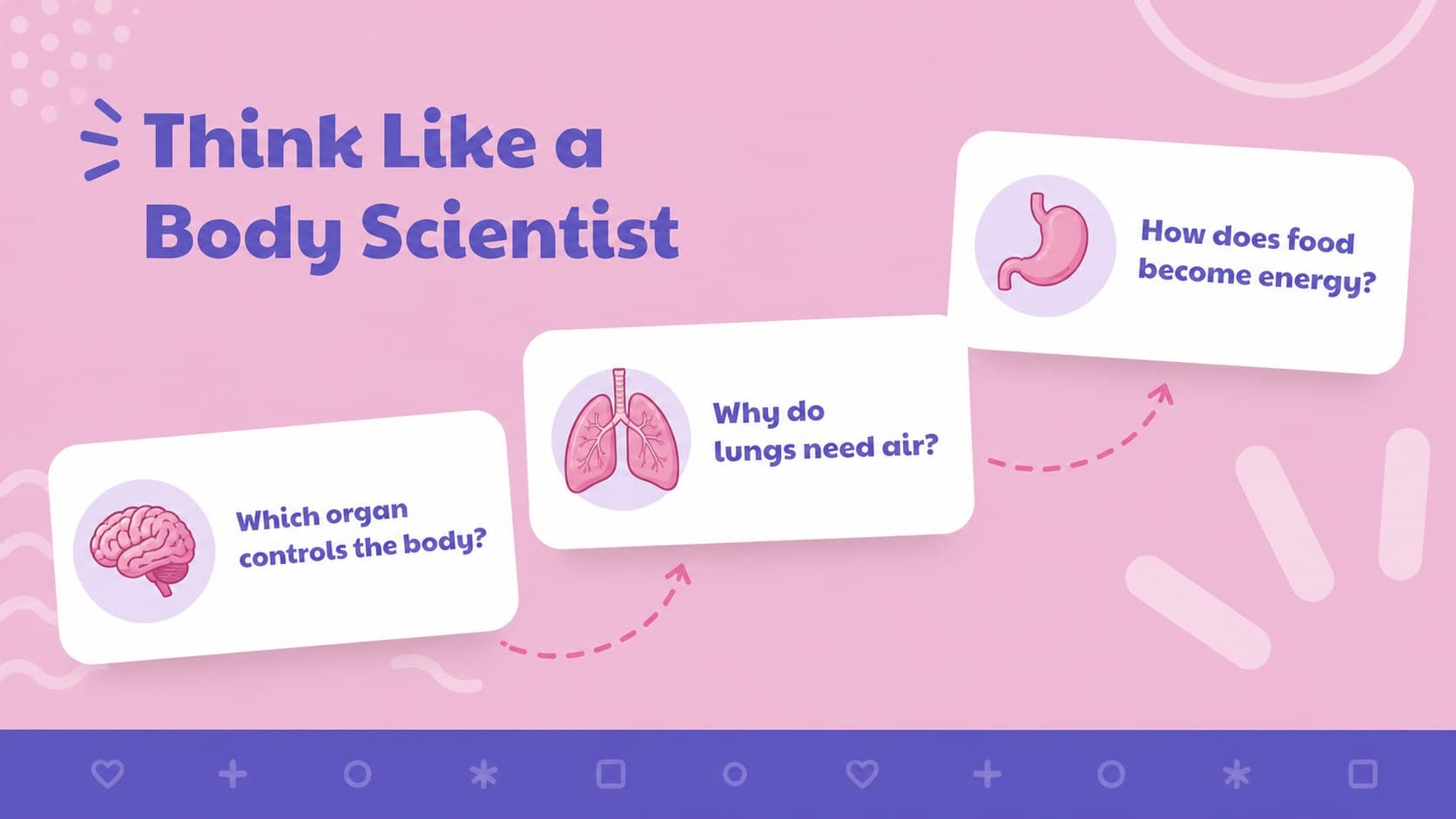 Human organs classroom activity slide with question cards for anatomy discussion.