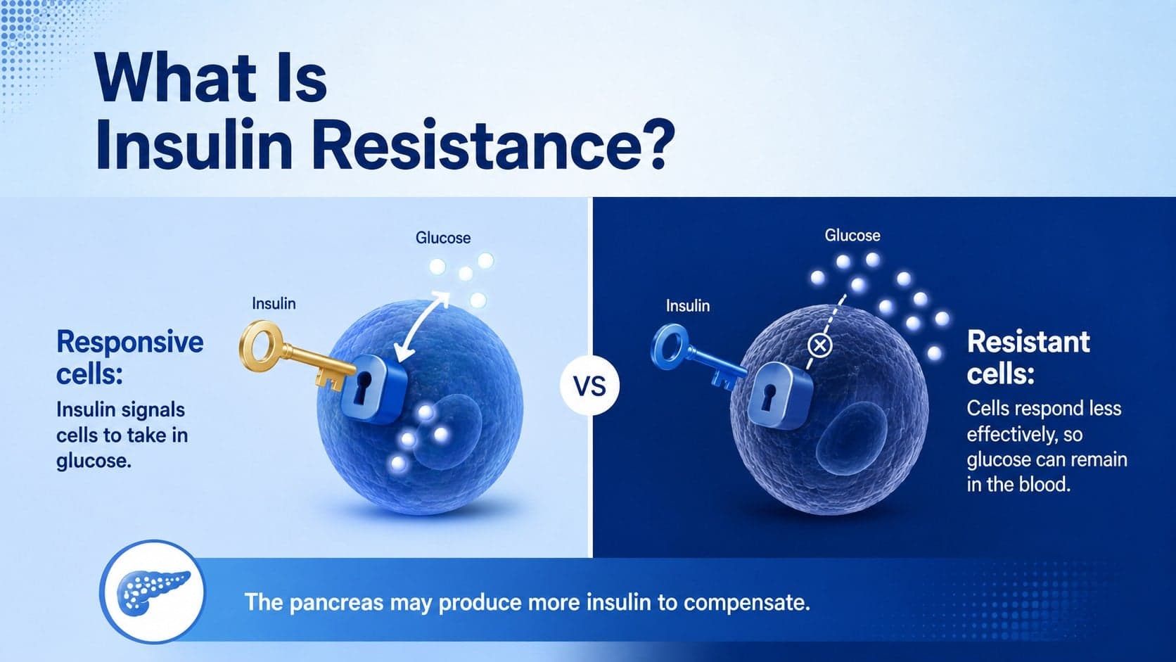 Type 2 diabetes lesson presentation explaining insulin resistance with a simple comparison.