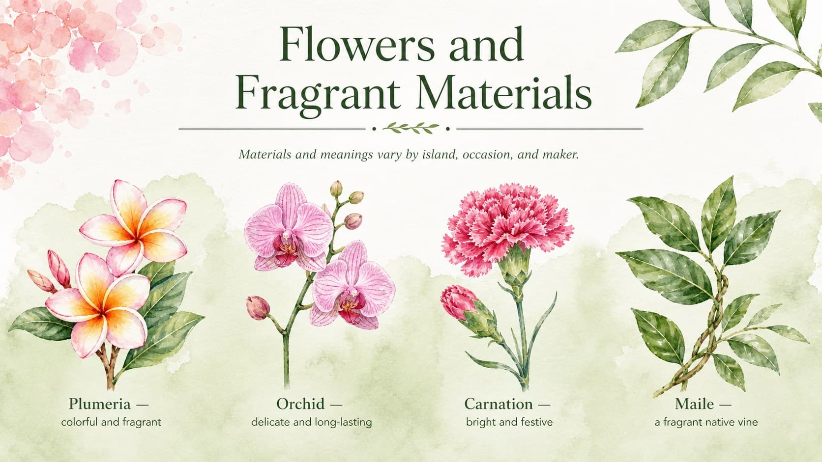 Watercolor flower guide for a Hawaiian cultural lesson showing plumeria, orchid, carnation, and maile.