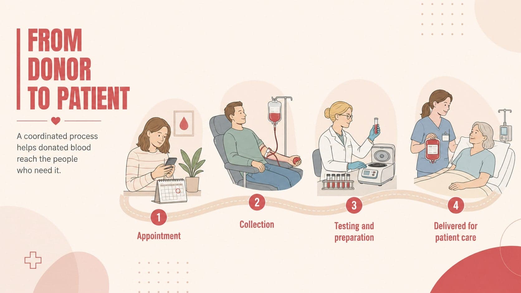 Blood donation process slide tracing the journey from donor appointment to patient care.