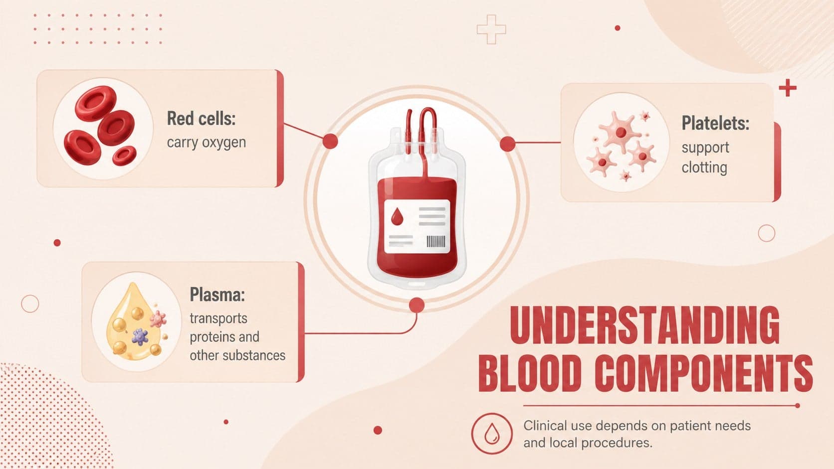Medical education slide introducing red cells, platelets, and plasma as key blood components.