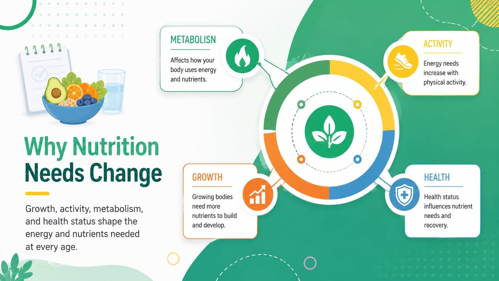 Human nutrition life cycle lesson slide explaining why energy and nutrient needs change over time.