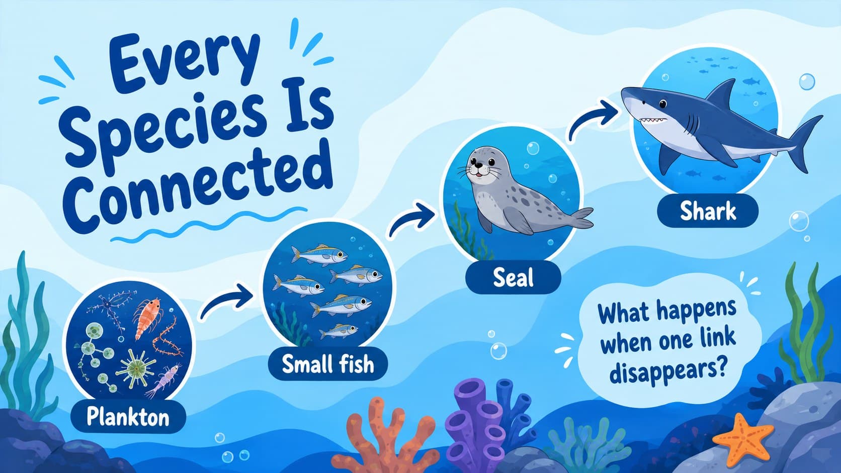 Marine conservation activity slide presenting a simple ocean food web for students.