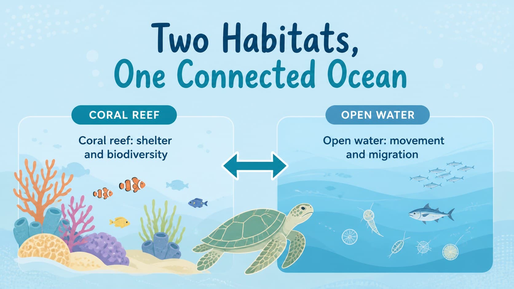 Underwater habitat lesson slide comparing a coral reef and open ocean zone with pastel blue diagrams and sea life illustrations.