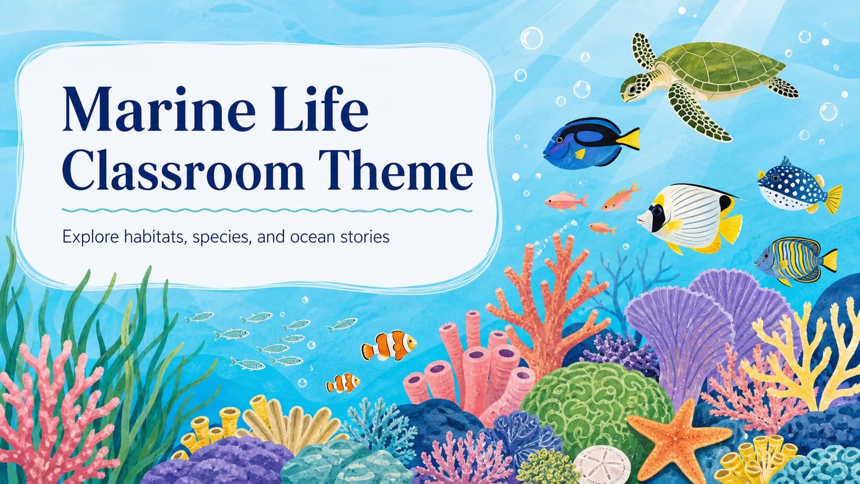 Marine Life Classroom Theme preview