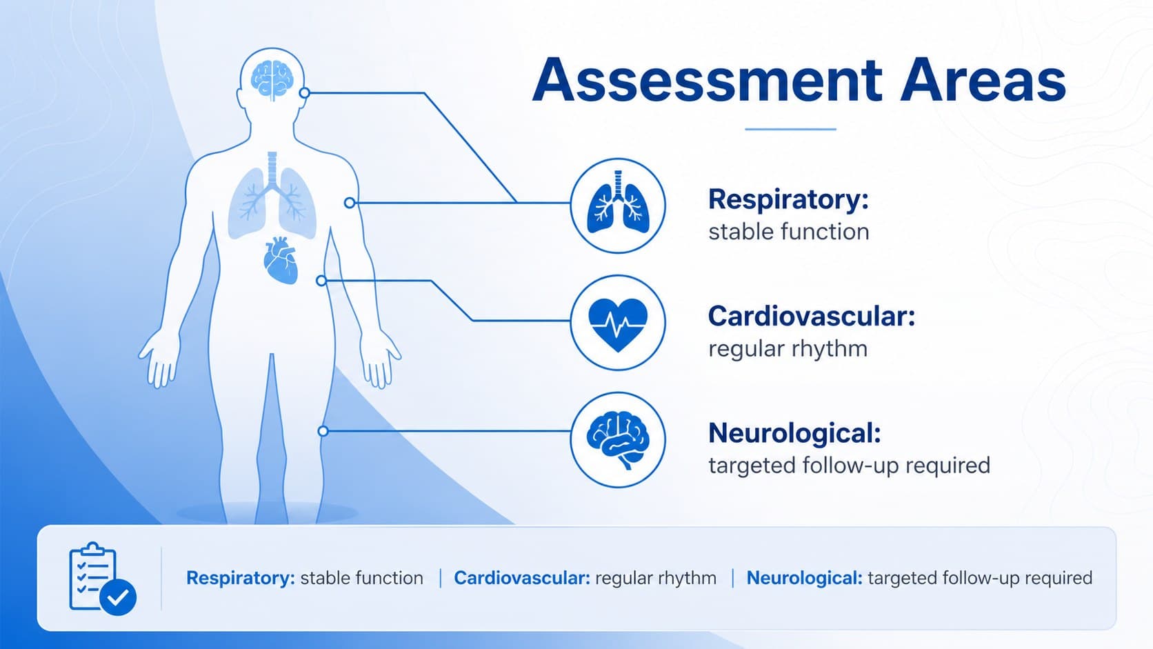 Anatomy presentation slide highlighting respiratory, cardiovascular, and neurological assessment areas.
