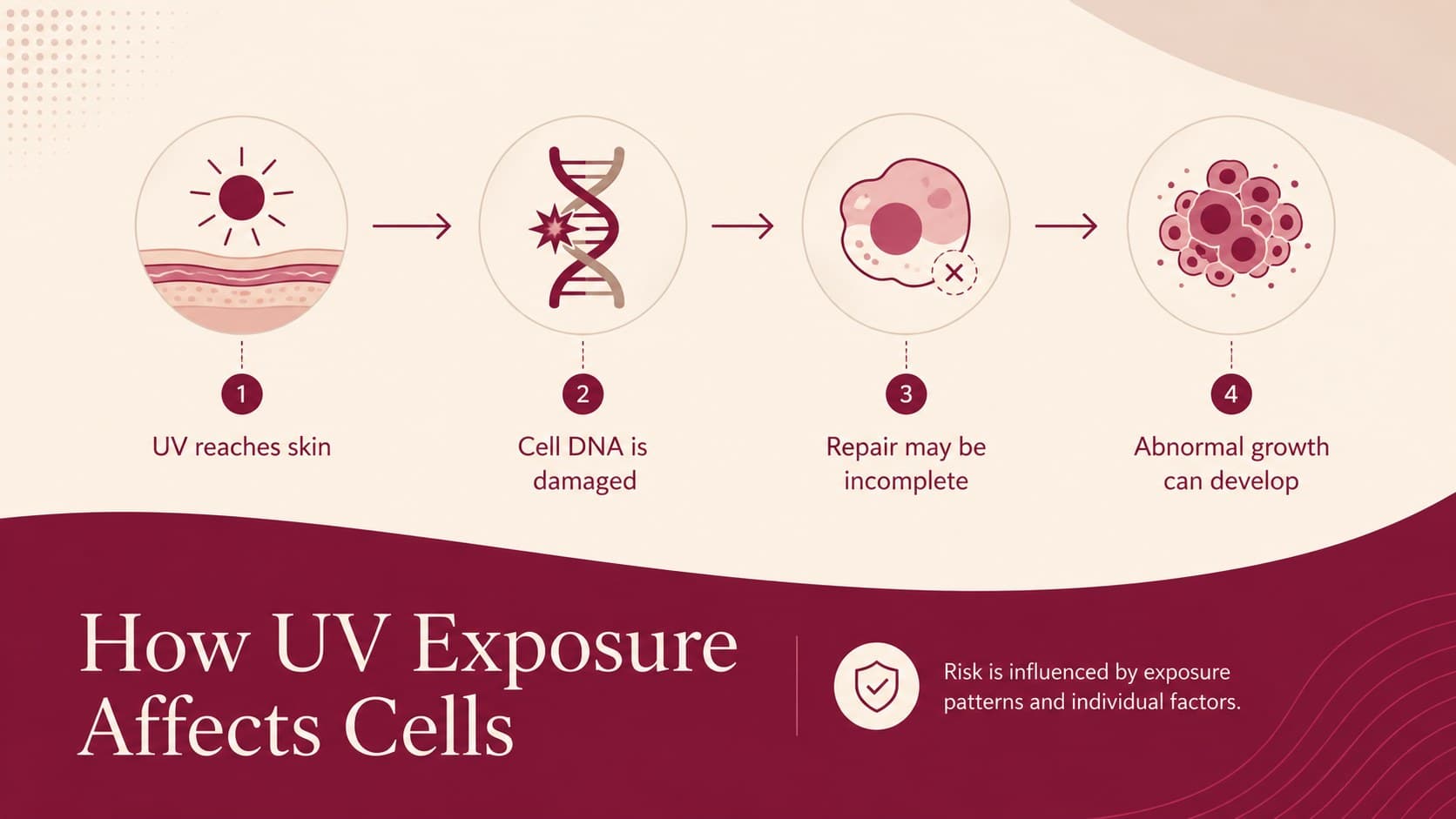 Health education process diagram explaining how ultraviolet radiation can damage skin cells.