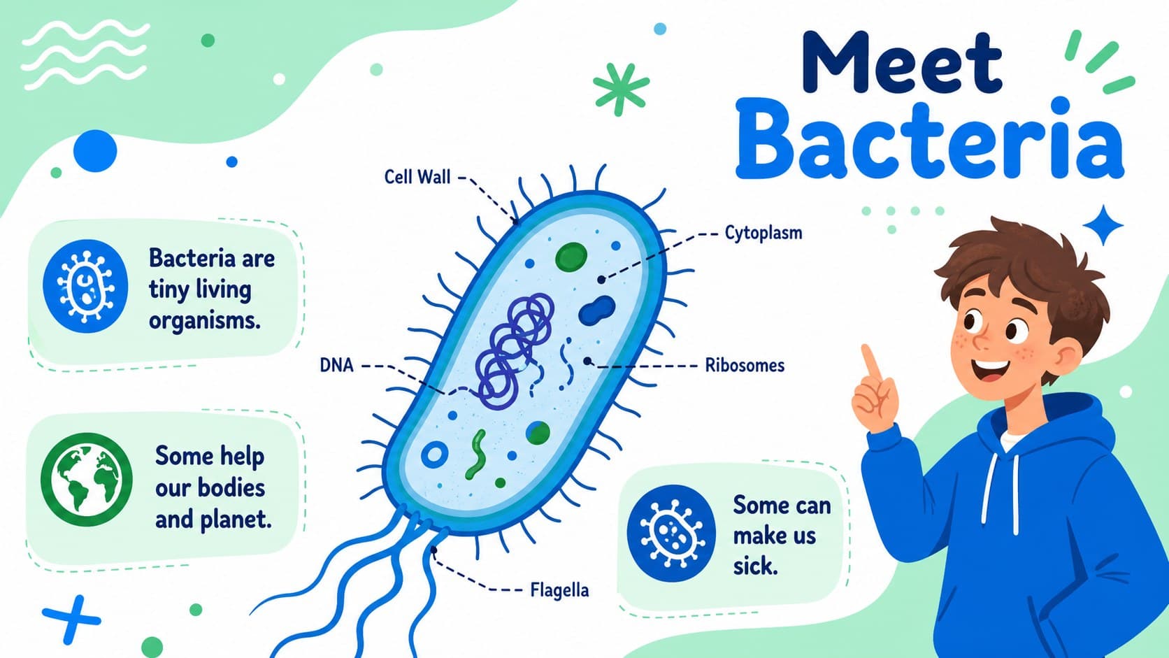 Bacteria definition slide for an elementary microbiology lesson with a bright illustrated diagram.