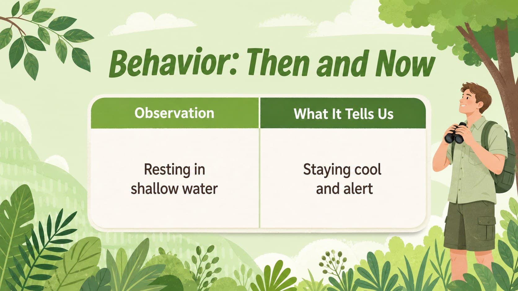 Animal behavior comparison slide using green paper panels and tropical collage decorations.