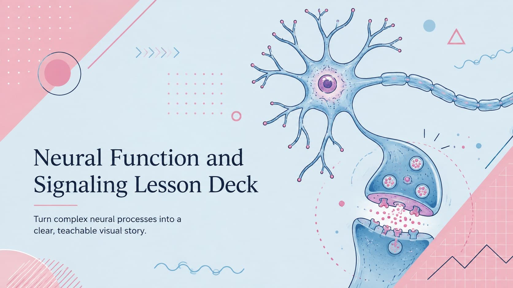Cover for a neural function and signaling lesson deck with modern neuron imagery in a pink-and-blue palette.