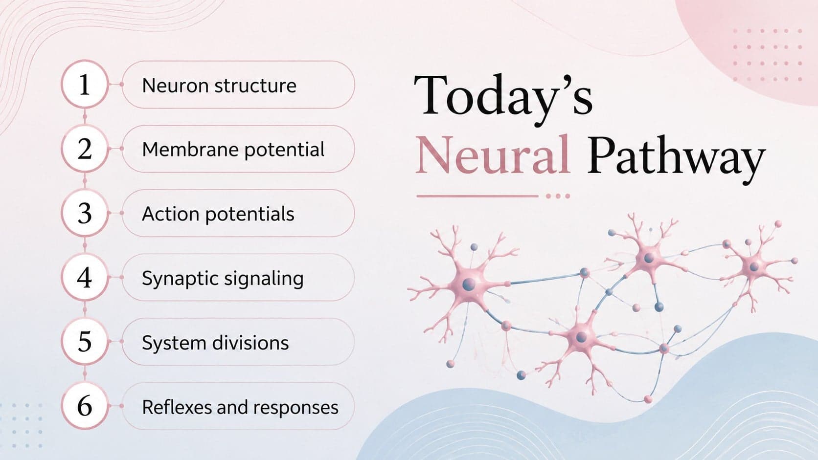 Pink-and-blue nervous system lesson agenda outlining six core physiology topics.