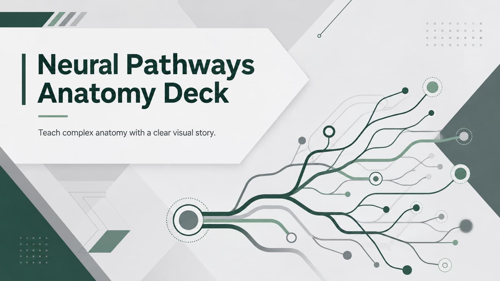 Cover of the Neural Pathways Anatomy Deck with green and grey geometric neuroanatomy graphics.