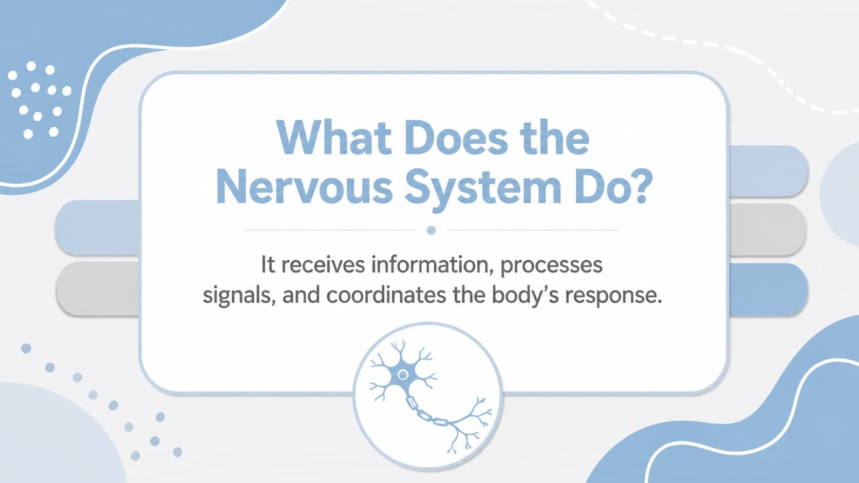 Introductory slide defining the nervous system with an abstract grey anatomical illustration.