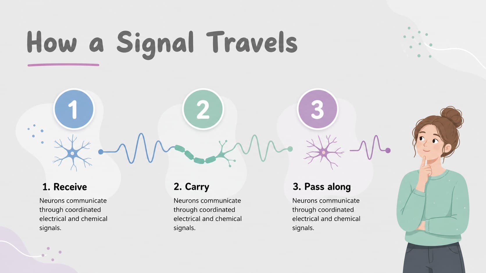 Neural signal sequence showing information moving from dendrites through the axon to the next cell.