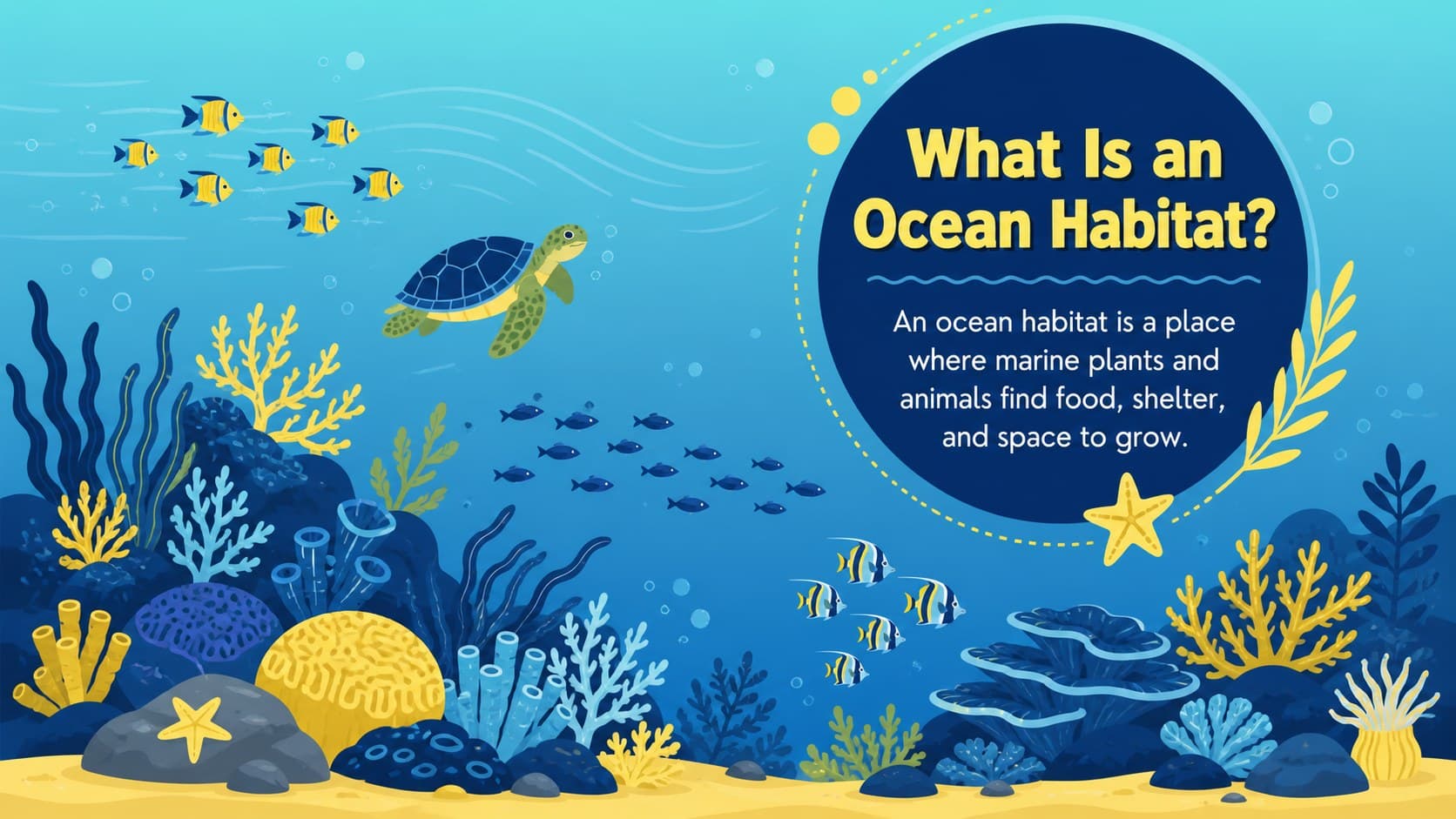 Sea life lesson slide introducing an ocean habitat with a reef illustration and a concise definition.