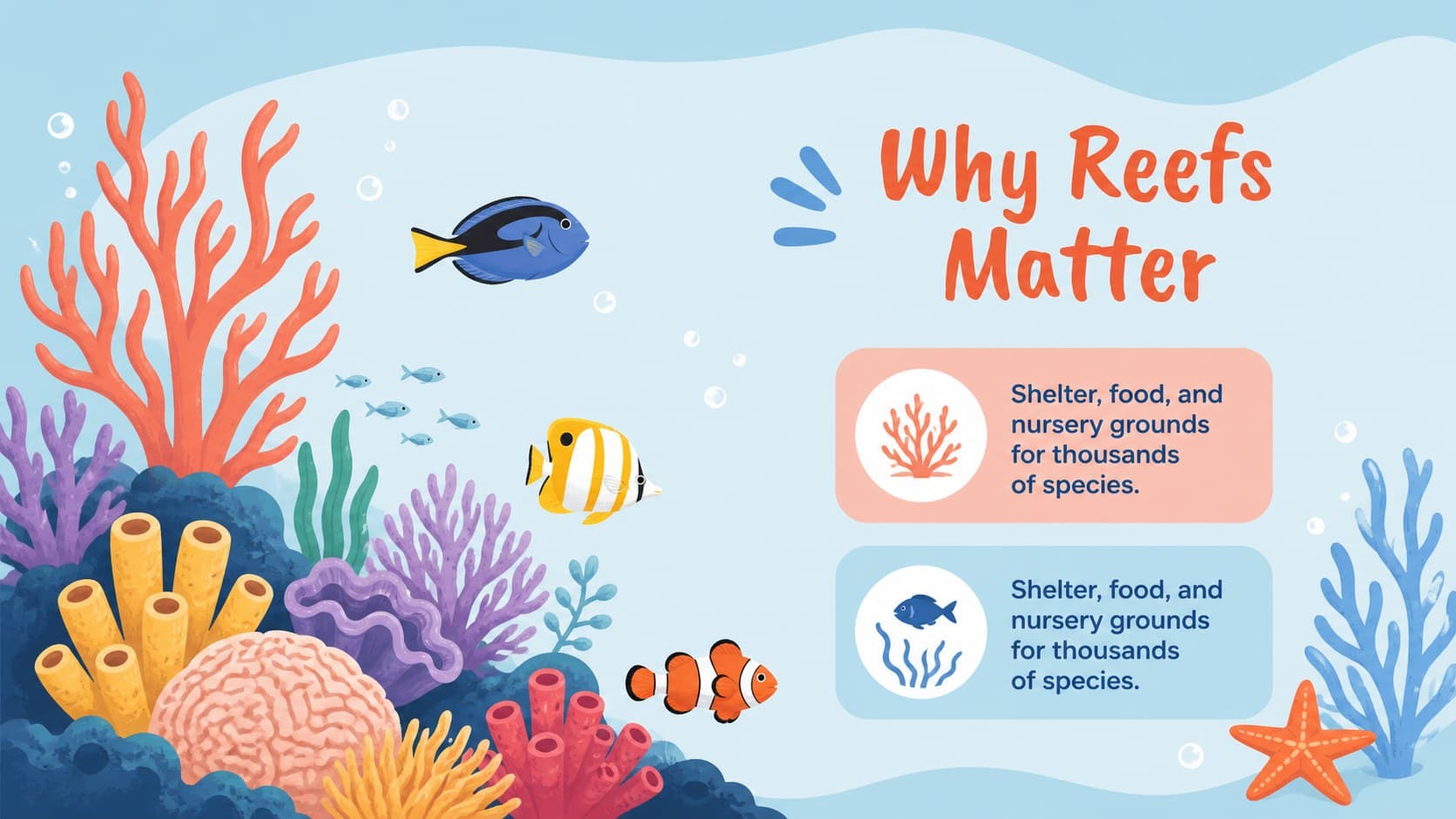 Underwater science presentation slide explaining coral reef habitats with pastel marine illustrations.