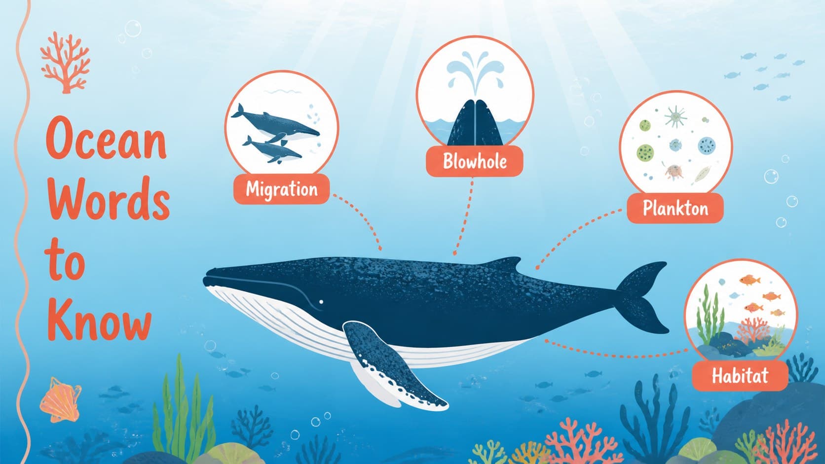 Sea life educational presentation slide with a large illustrated whale and marine vocabulary callouts.