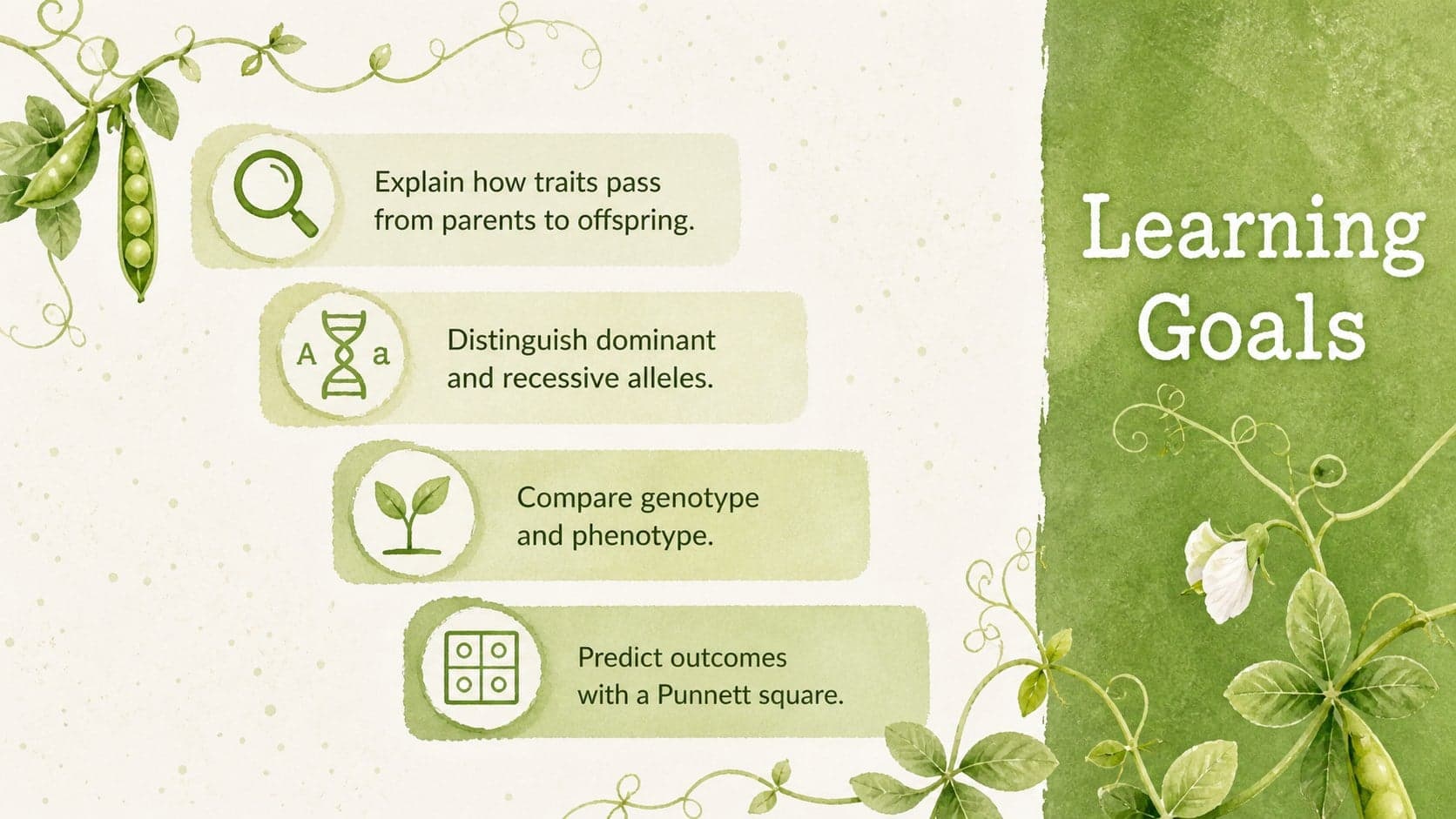 Watercolor genetics lesson objectives slide outlining inheritance concepts and Punnett square skills.