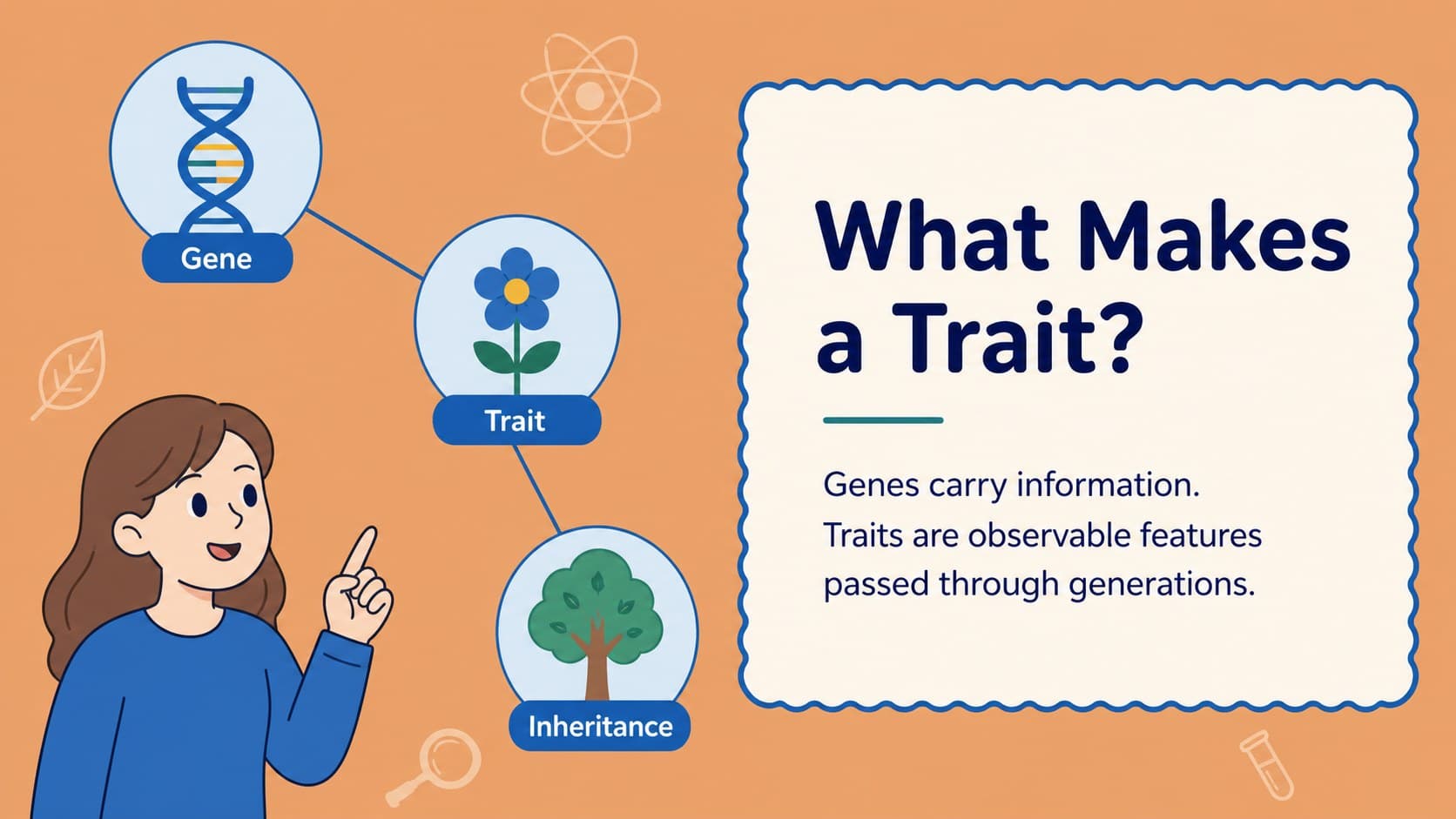 Illustrated biology slide defining genes, traits, and inherited characteristics for a crop science lesson.