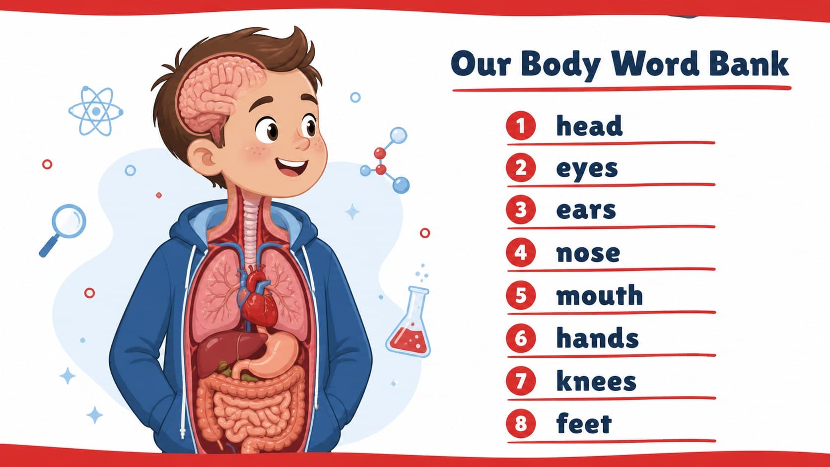 Vocabulary slide showing simple anatomy words for an editable preschool science presentation.